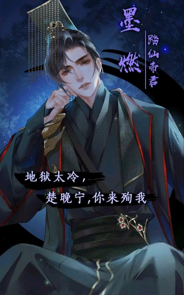 二哈和他的白猫师尊，本座长得这么好看，楚晚宁为什么不喜欢