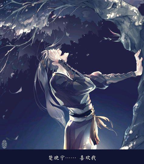 二哈和他的白猫师尊,本座长得这么好看,楚晚宁为什么不喜欢