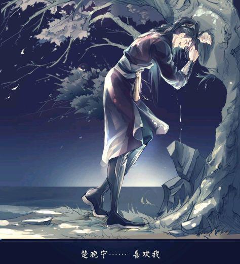 二哈和他的白猫师尊,本座长得这么好看,楚晚宁为什么不喜欢