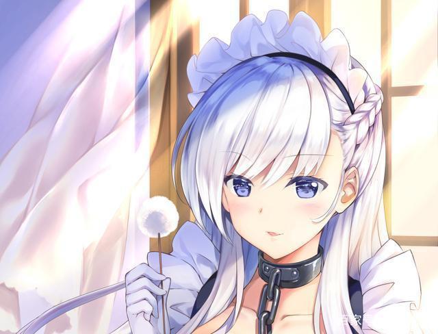 碧蓝航线舰娘人气投票总决赛公开贝爷实力碾压众生火奴鲁鲁争光