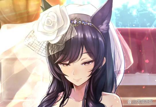 碧蓝航线国际服婚纱皮肤TOP10:原来欧美玩家最喜欢欧根和企业