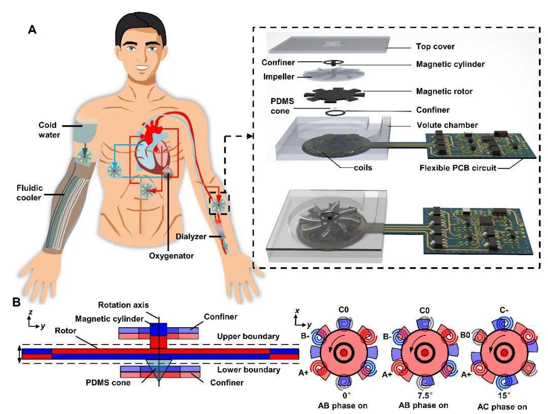 黑龙江黑河疫情已发生社区传播;日本批准基因编辑河豚上市销售丨科技早新闻
