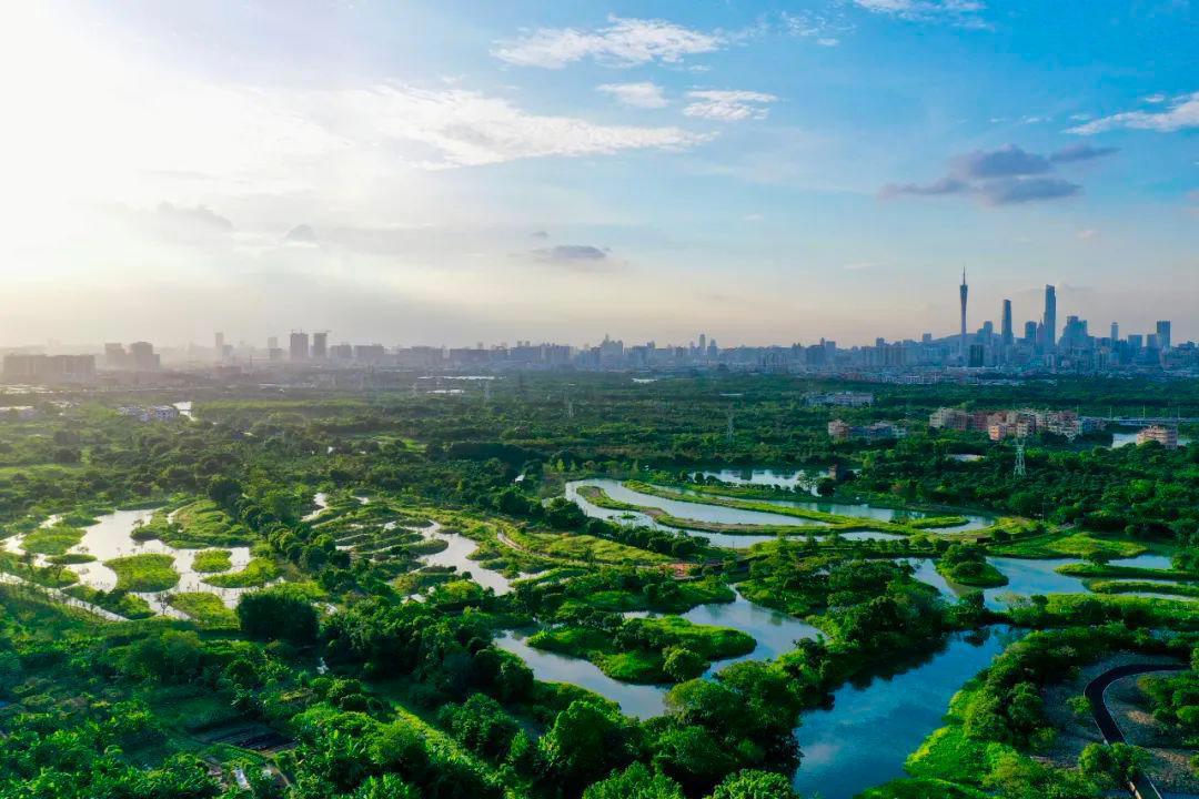 以“海珠”命名!