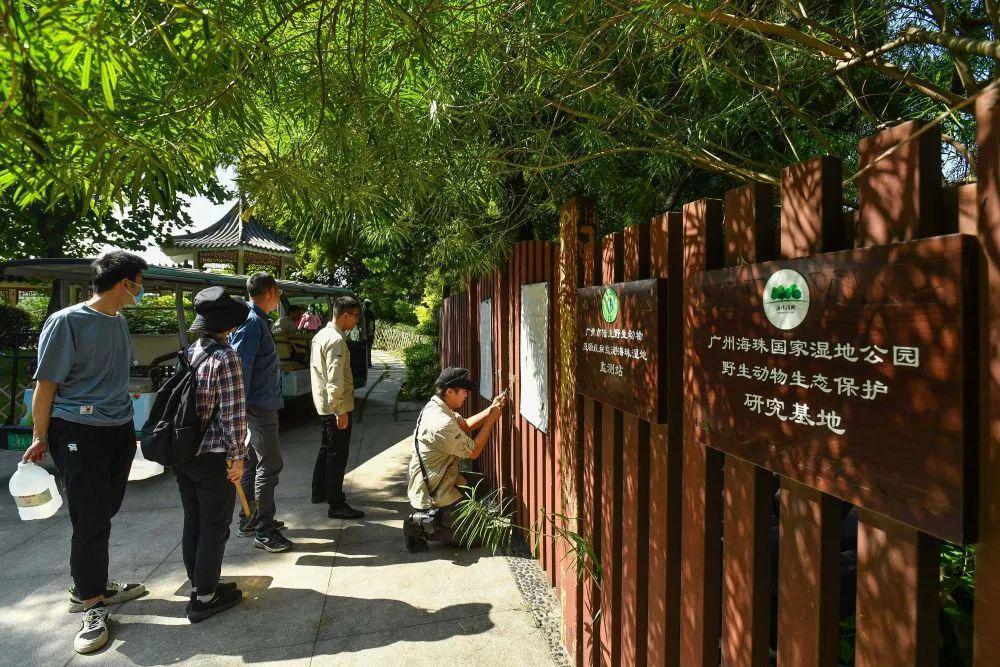 以“海珠”命名!