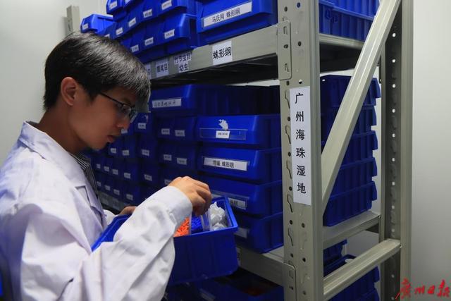 以“海珠”命名!广州海珠湿地发现昆虫新物种