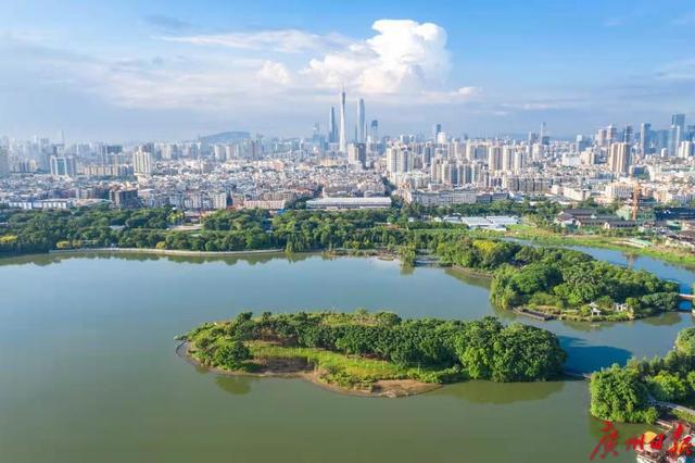 以“海珠”命名！广州海珠湿地发现昆虫新物种