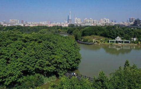 广州发现稀有新物种!以“海珠”命名!