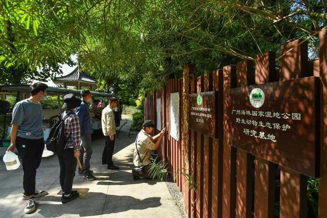 全球首次发现!以广州的“海珠”命名!