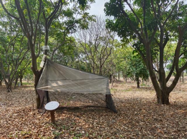 全球首次发现！以广州的“海珠”命名！