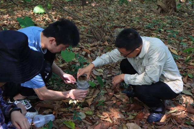 全球首次发现！以广州的“海珠”命名！