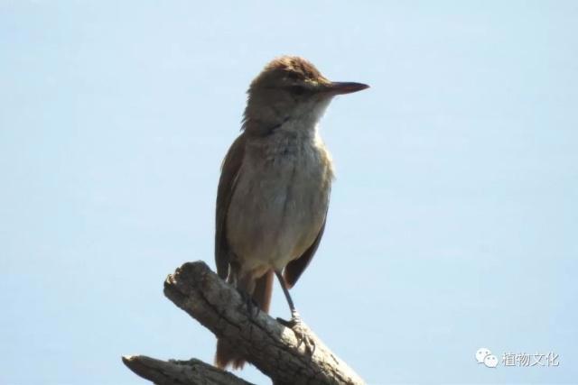 云南大理&云龙天池国家级自然保护区鸟类&昆虫记录