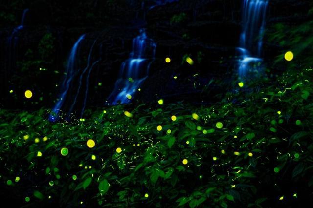 邛崃市生态文明建设蹄疾步稳