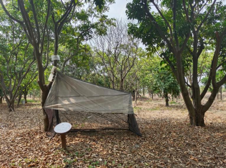 全球首次发现!以“海珠”命名