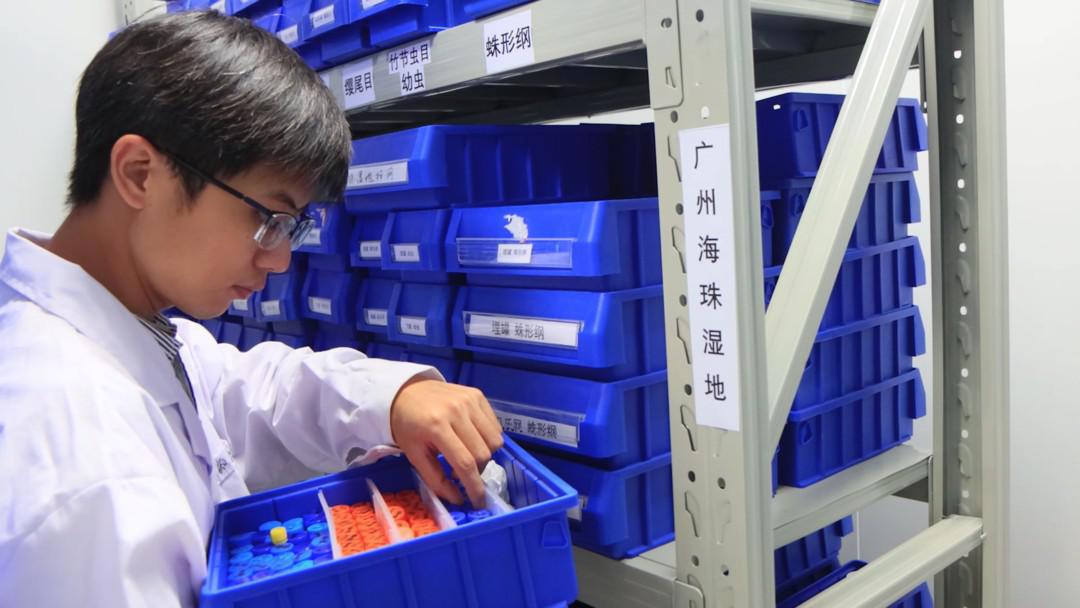 全球首次发现！以“海珠”命名