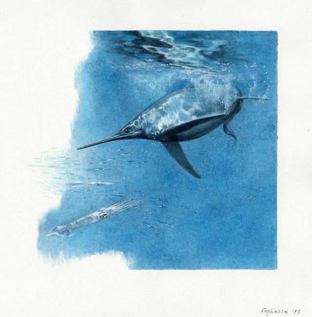 1亿年前缅甸琥珀中发现萤火虫祖先——白垩光萤科昆虫