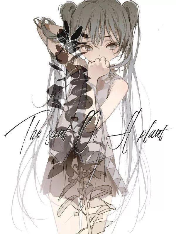 P站插画类每日排行top819.3.1