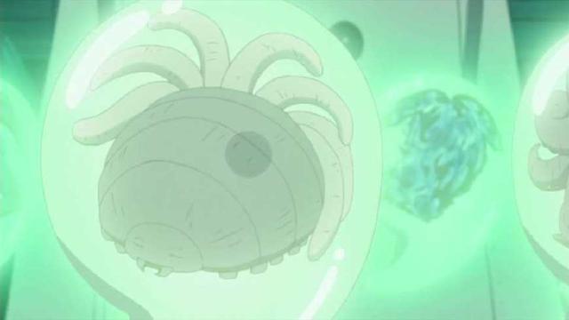 火影：尾兽们最罕见的幼儿期照片，九喇嘛小时候好像小猫咪！