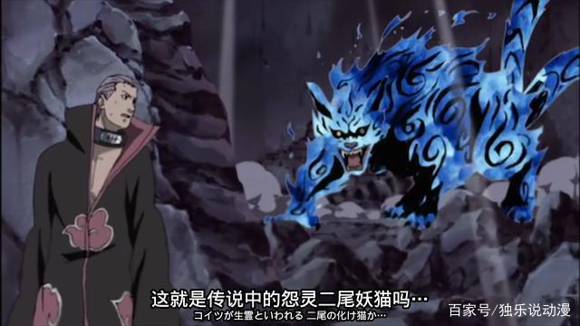 火影忍者：飞段、角都去抓二尾时，为何云隐村没派人去救由木人？