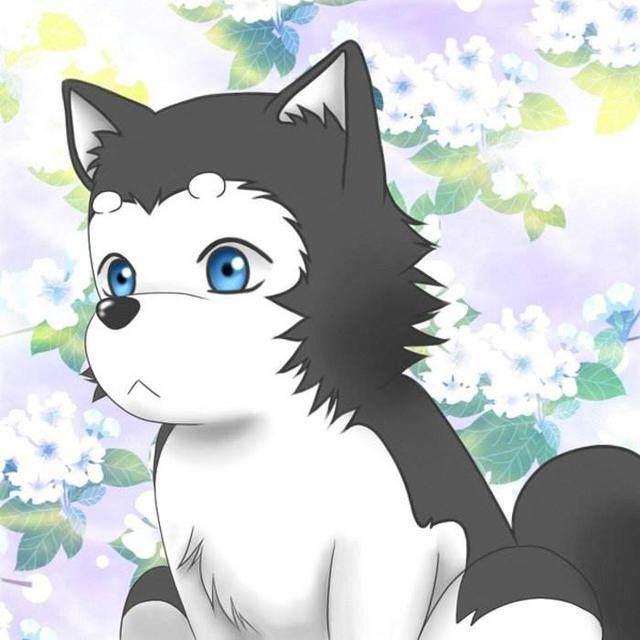 绒毛控福利！那些看见就想撸一把的二次元萌物