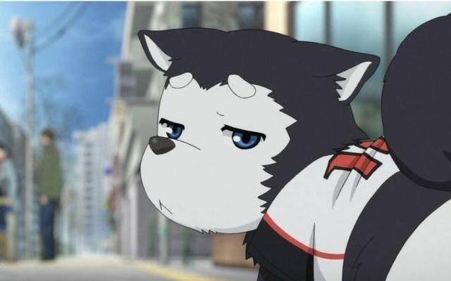 绒毛控福利！那些看见就想撸一把的二次元萌物