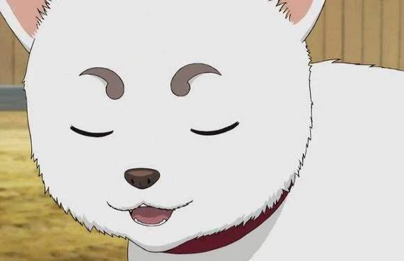 绒毛控福利！那些看见就想撸一把的二次元萌物