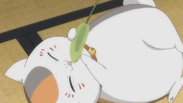 绒毛控福利！那些看见就想撸一把的二次元萌物