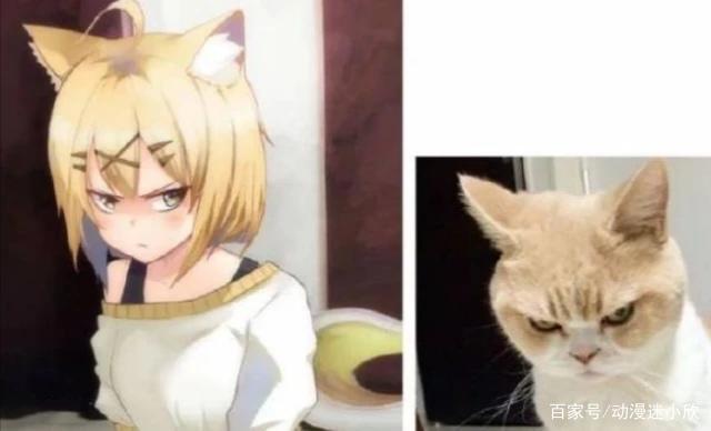 三次元变成二次元,小萝莉很可爱,兽娘送福利,而她换了个人