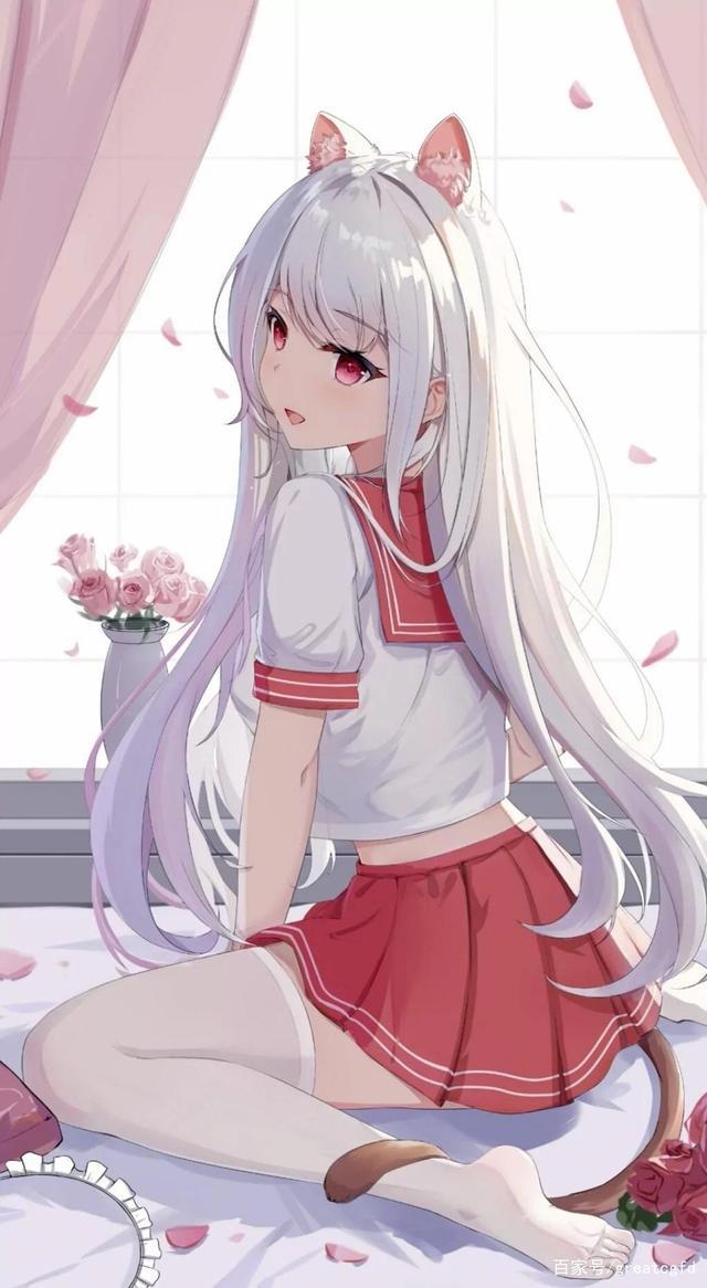 又又又来二次元福利壁纸了