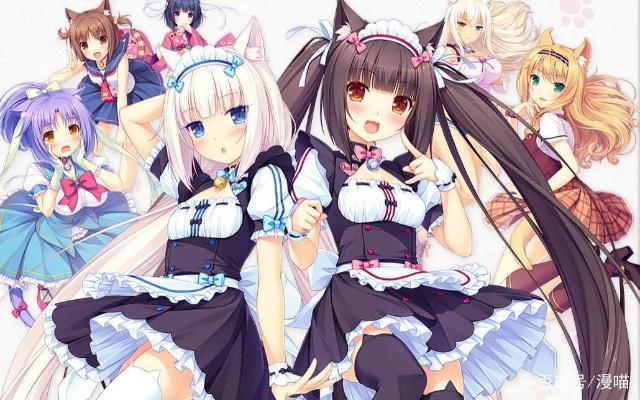 福利盘点｜二次元“后宫番”甜蜜福利