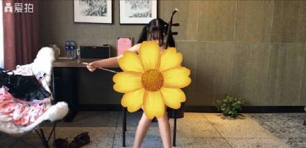 穿洛丽塔高考的P站福利姬又出新瓜，她到底图什么？