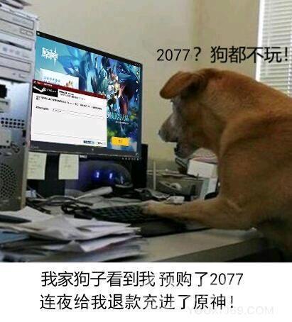 原神？2077？我直接充了永久的P站会员！