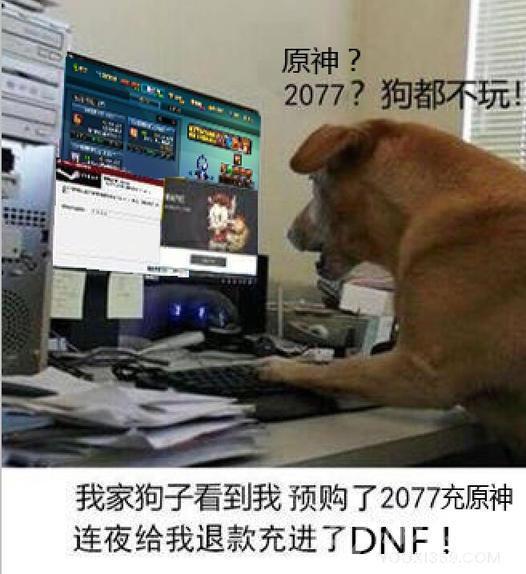 原神？2077？我直接充了永久的P站会员！