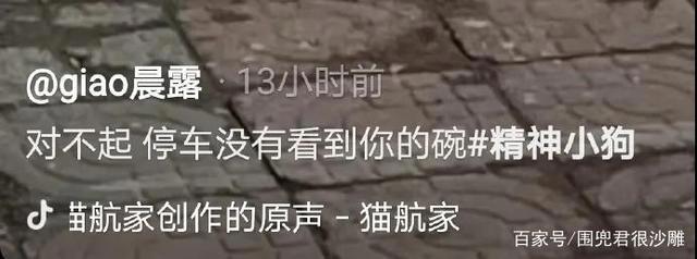 原神？2077？我直接充了永久的P站会员！