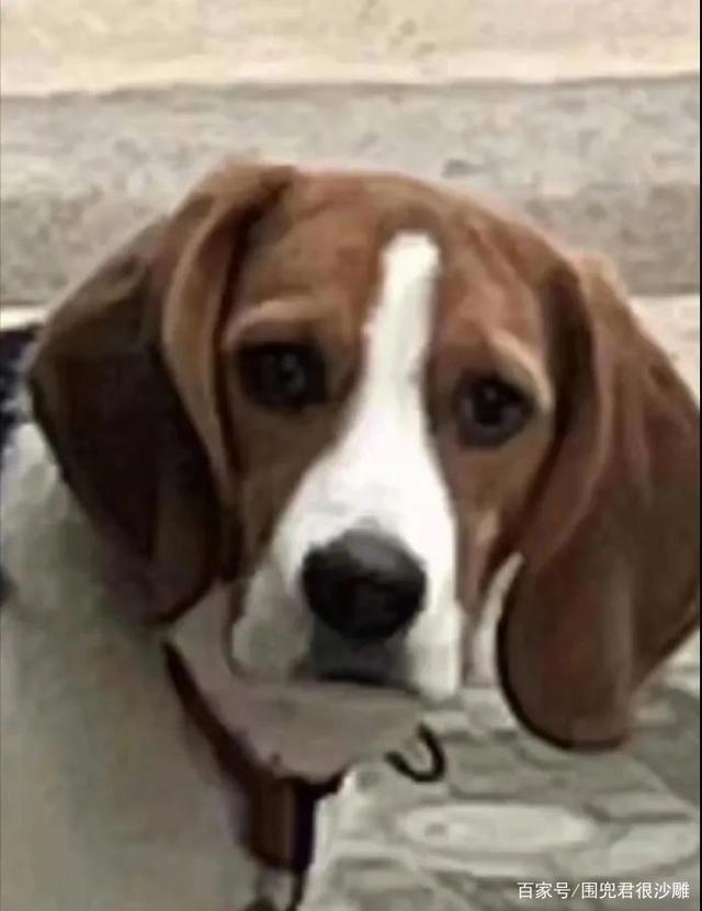 原神？2077？我直接充了永久的P站会员！