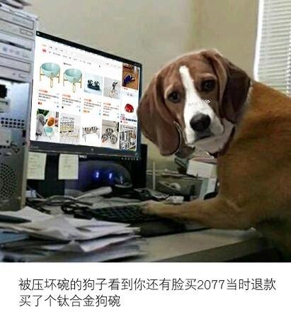 原神？2077？我直接充了永久的P站会员！