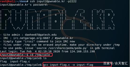 萌新带你开车上p站（终极番外）