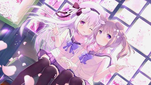 追番就看A站、B站,那么你知道C站、D站……H站、N站和P站吗?