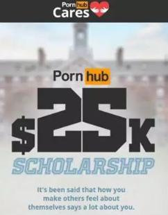 我从P站年度数据里发现了不一样的东西