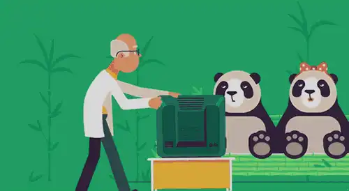 我从P站年度数据里发现了不一样的东西