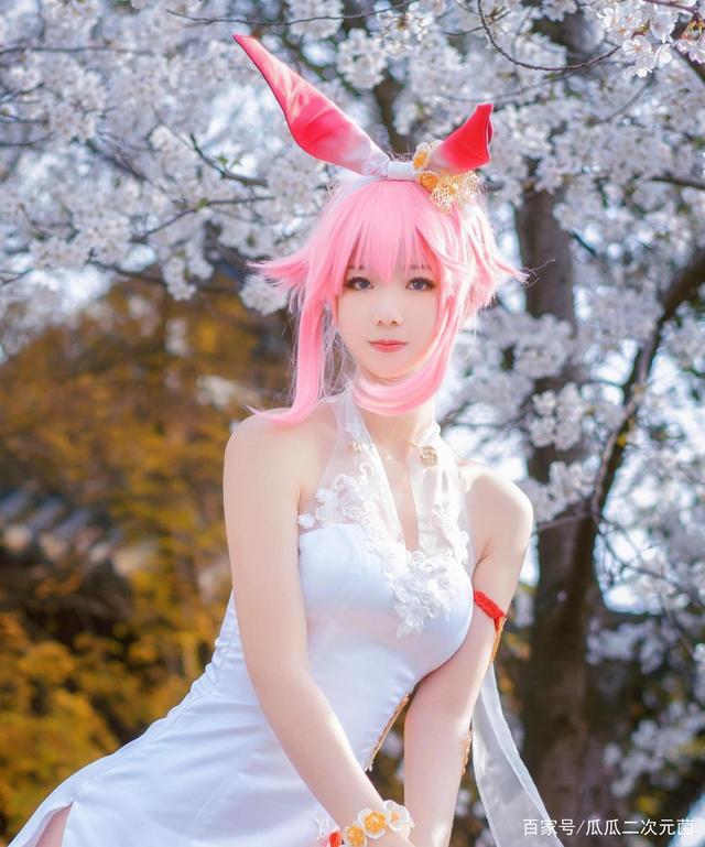 Cosplay欣赏-《崩坏学园》八重樱