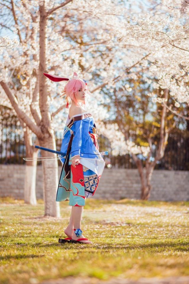 崩坏3：八重樱超美cos，左手持刀，右手执扇，漫天樱花美如画
