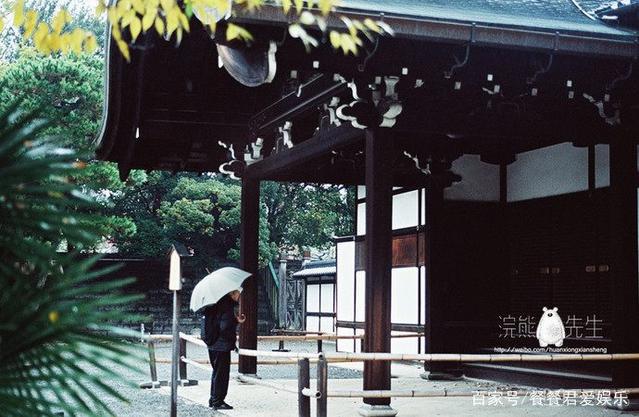 日本京都首屈一指的赏樱胜地,拥有“樱花王者”称誉的八重樱!