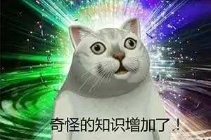 崩坏3:后崩坏四小队队长基本确定,姬子在内!最后一位究竟是?