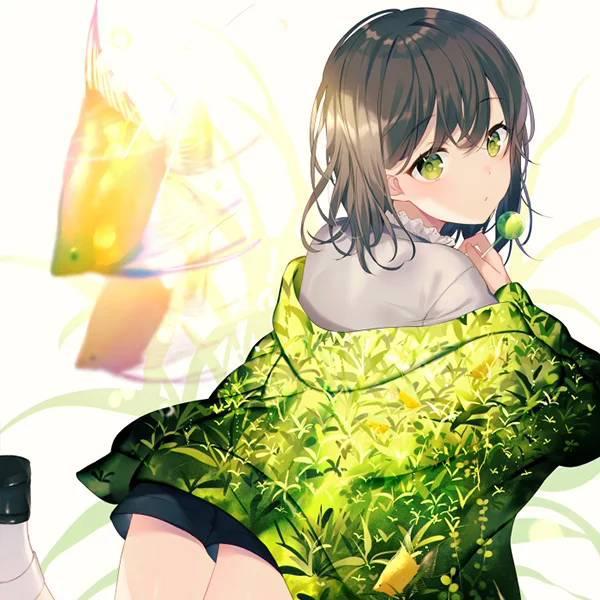 二次元高清美图壁纸壹贰陆