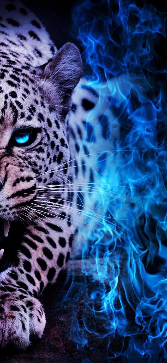 二次元美图全赏