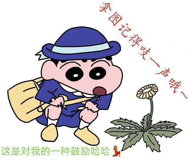 高清｜火影忍者头像