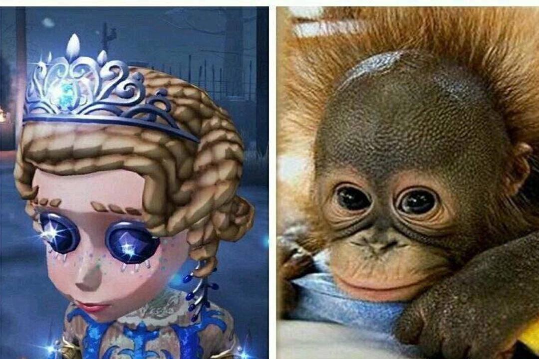 第五人格：宿伞新时装“残花泪”美宣公布，建模师：图片仅供参考