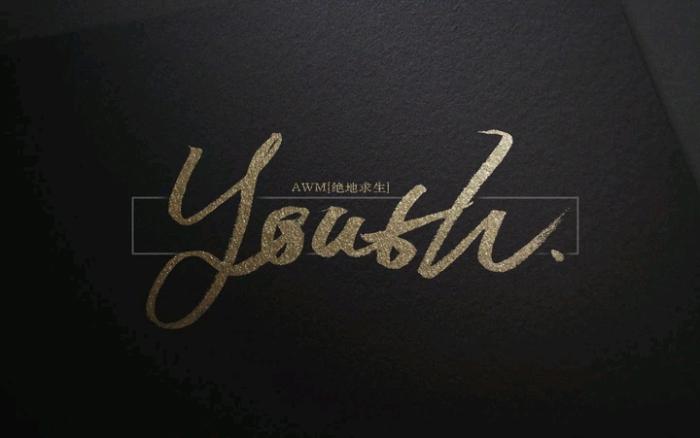 《AWM绝地求生》语录集