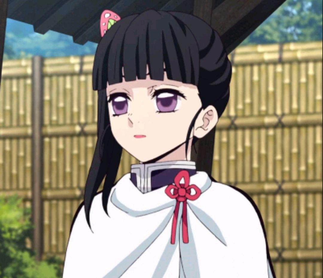 鬼灭之刃:蝶屋的七位姐妹你pick谁?蝴蝶发饰的颜色是标志性特征