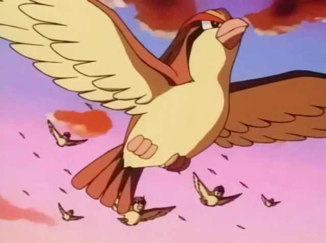 口袋妖怪：最后和智爷分开的宝可梦，全进化能否夺冠？